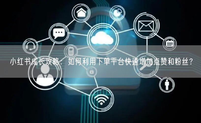 小红书成长攻略:如何利用下单平台快速增加点赞和粉丝?