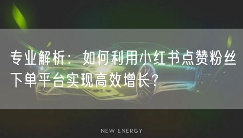 专业解析:如何利用小红书点赞粉丝下单平台实现高效增长?