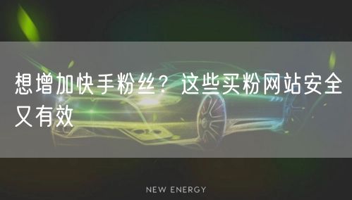 想增加快手粉丝?这些买粉网站安全又有效