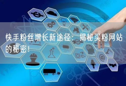快手粉丝增长新途径:揭秘买粉网站的秘密!