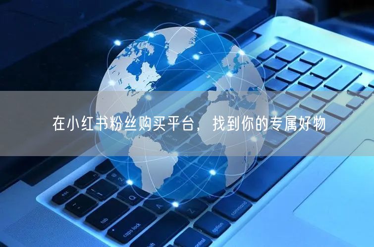 在小红书粉丝购买平台,找到你的专属好物